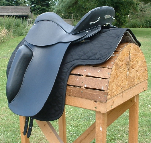 American Flex Dressage